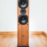 brown and black speaker indoor